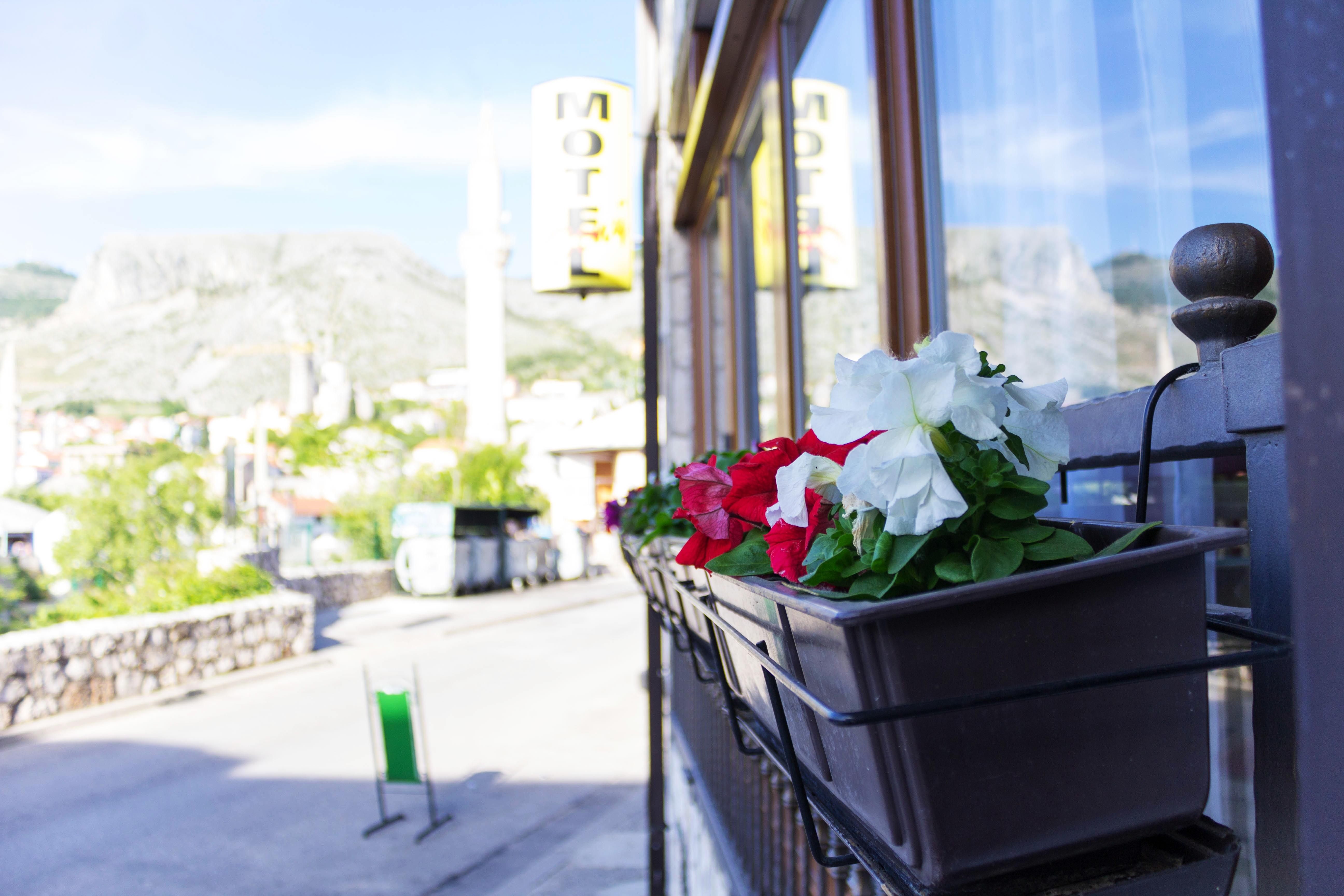 Villa Deny Mostar - With Free Parking Exteriör bild